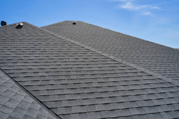 Best Roof Coating and Sealing  in Applewood, CO